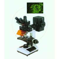 Fluorescent Microscope (1)